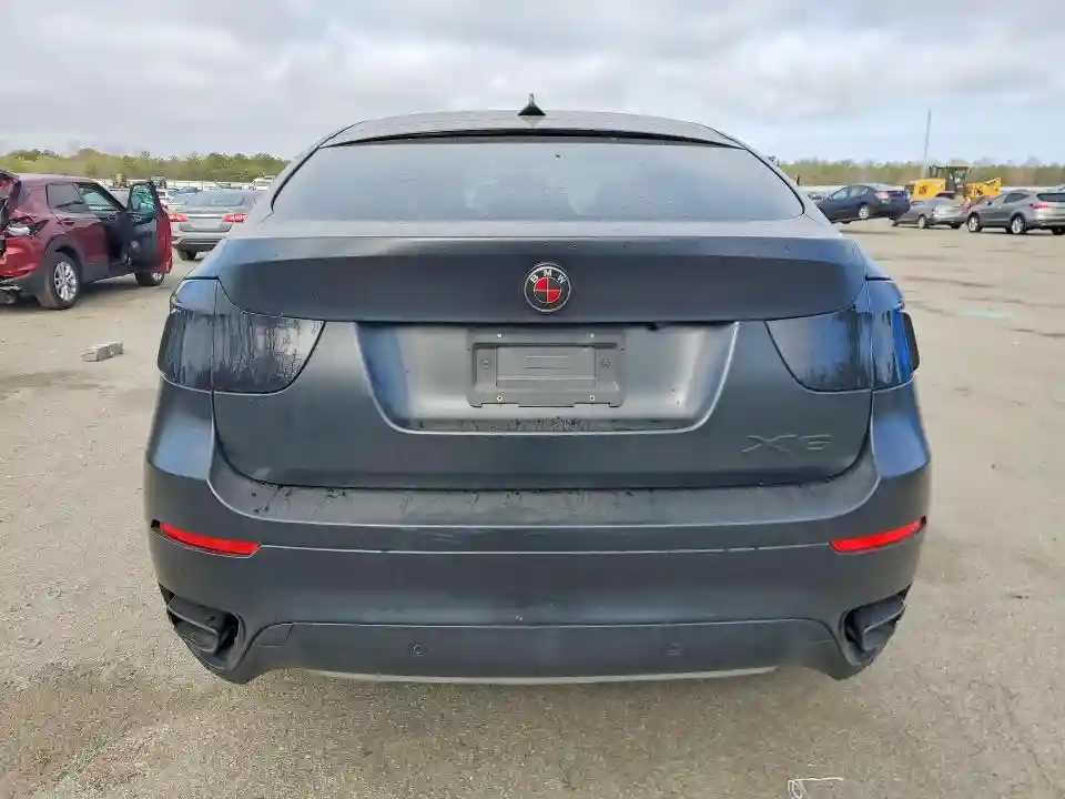 5UXFG8C56DL591319 2013 BMW X6-5