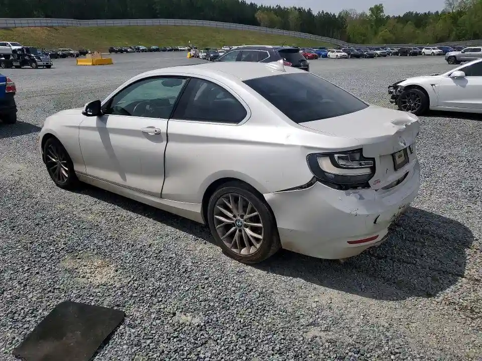 WBA1F5C53FV256889 2015 BMW 2 SERIES-1