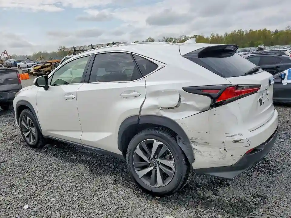 JTJGARDZ8L2234630 2020 LEXUS NX-1