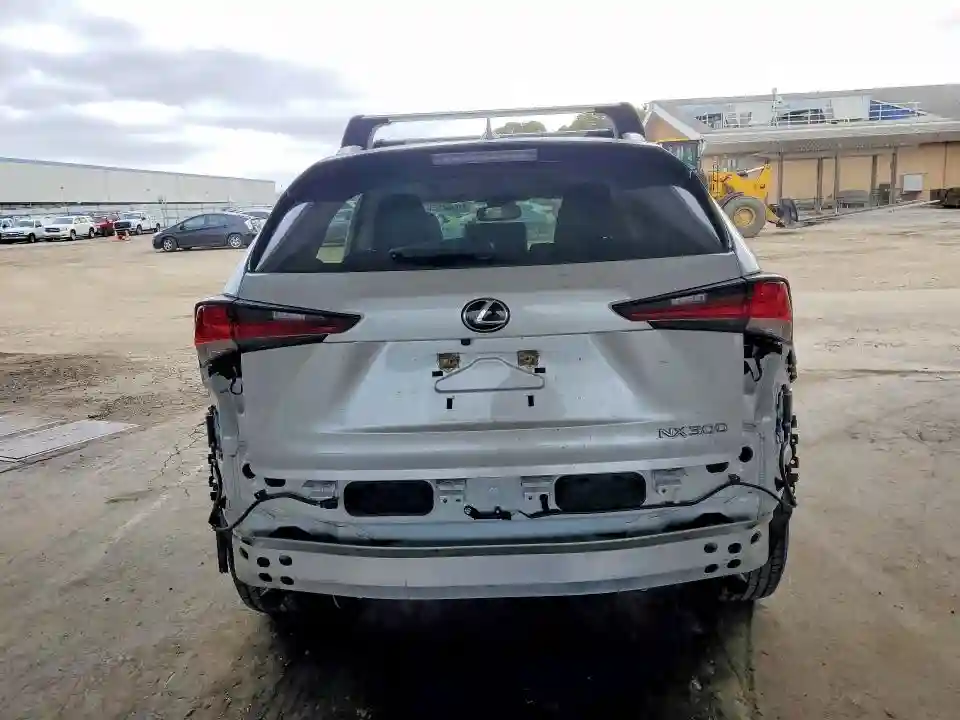JTJDARDZ5L5002519 2020 LEXUS NX-5