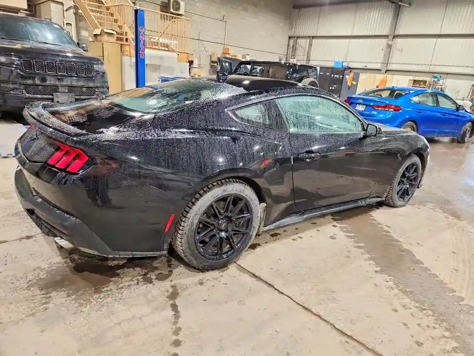 1FA6P8TH5R5104074 2024 FORD MUSTANG-2