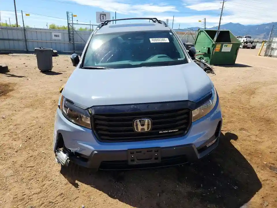 5FNYF8H81RB013901 2024 HONDA PASSPORT-4