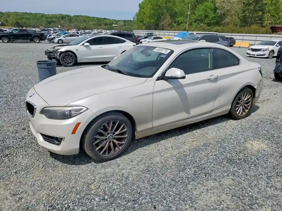 WBA1F5C53FV256889 2015 BMW 2 SERIES-0