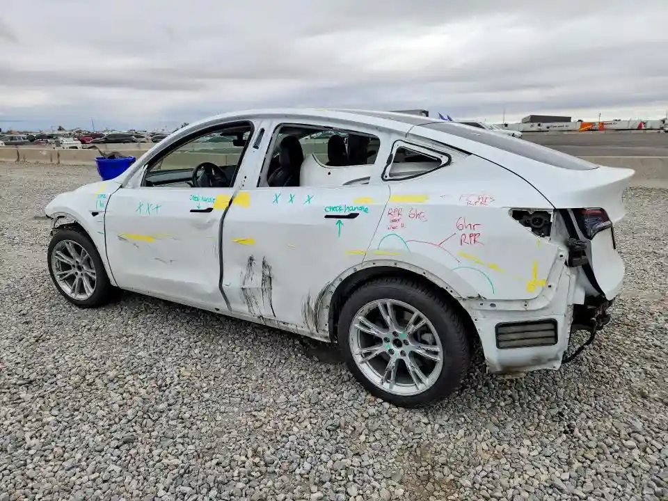 5YJYGAEE2MF172823 2021 TESLA MODEL Y-1