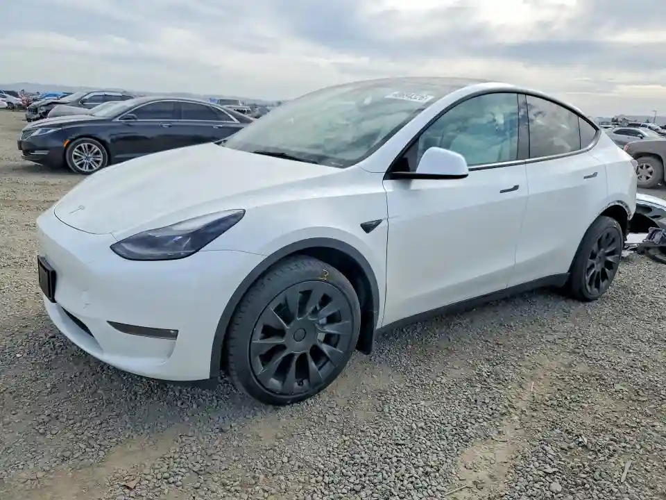 7SAYGDEE5PF850781 2023 TESLA MODEL Y-0