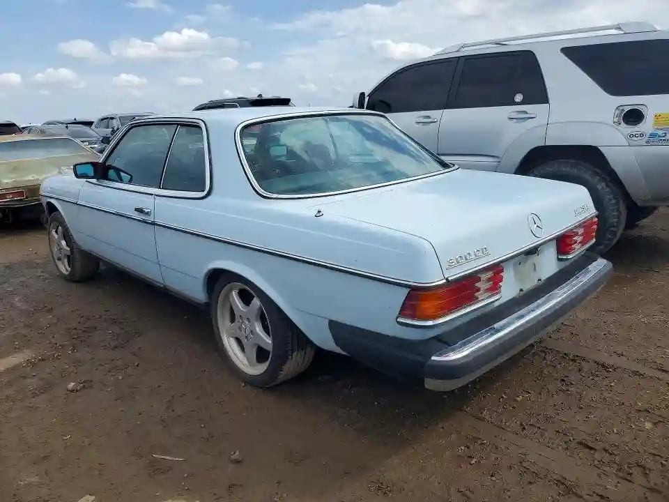 12315012003738 1979 MERCEDES-BENZ C-CLASS 30-1