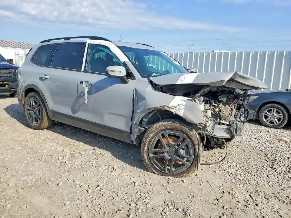 5XYP3DGCXSG599323 2025 KIA TELLURIDE-3