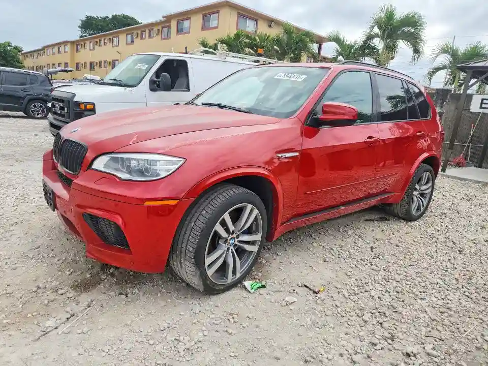 5YMGY0C59D0C11700 2013 BMW X5-0