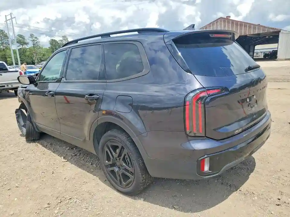 5XYP5DGC9SG574598 2025 KIA TELLURIDE-1