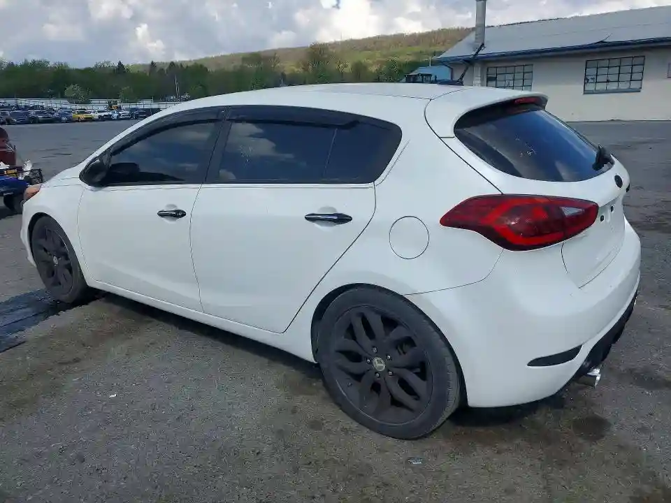 KNAFZ5A38F5265117 2015 KIA FORTE-1