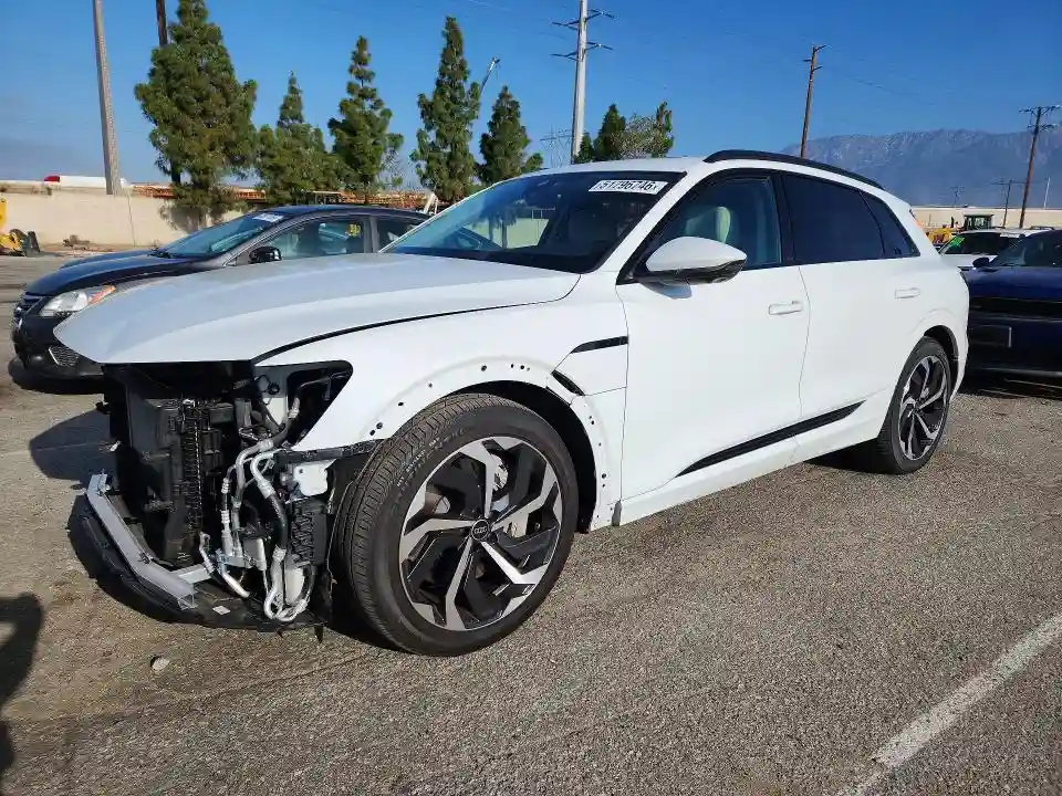 WA15AAGE9RB048361 2024 AUDI ALL OTHER-0