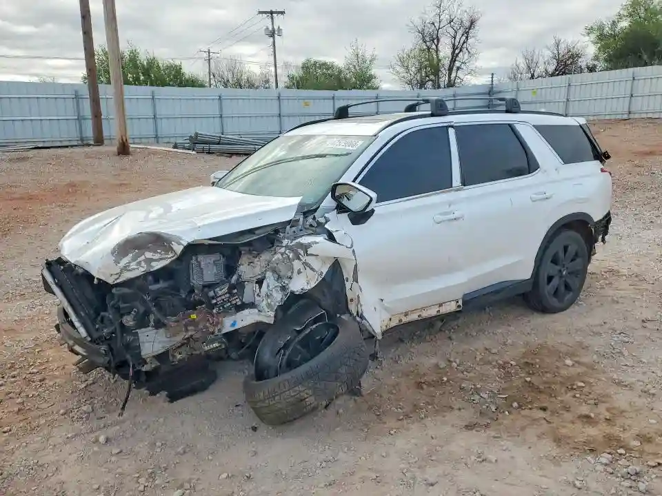 KM8R3DGE2PU630981 2023 HYUNDAI PALISADE-0