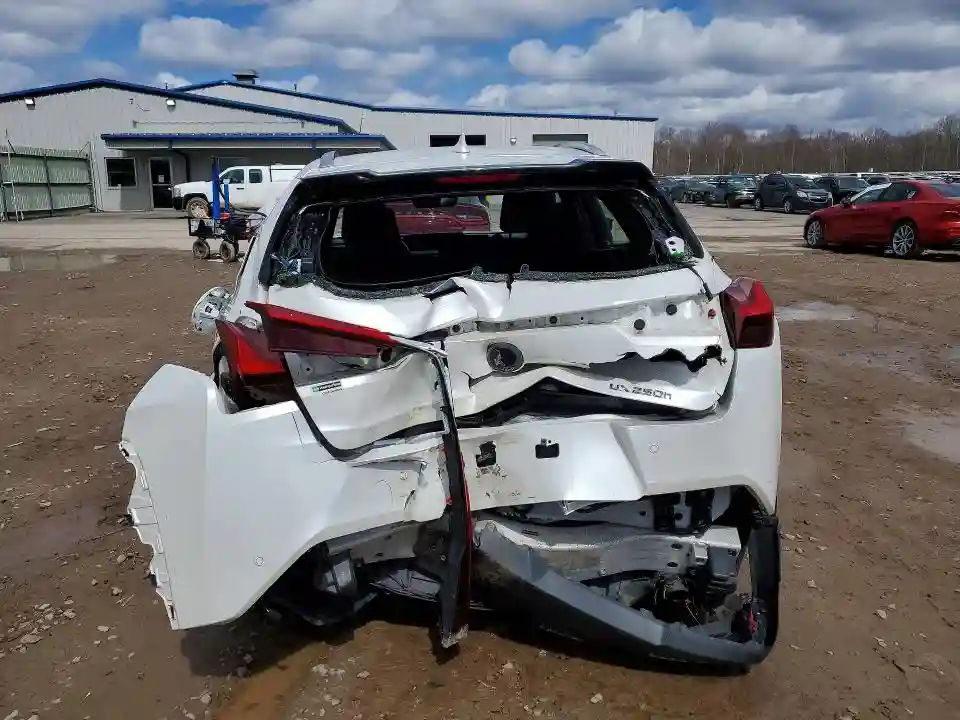 JTHP9JBH0L2024075 2020 LEXUS UX 250H-5