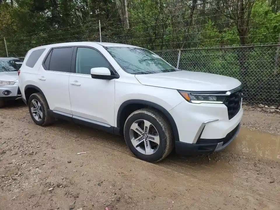 5FNYG1H56RB011233 2024 HONDA PILOT-3