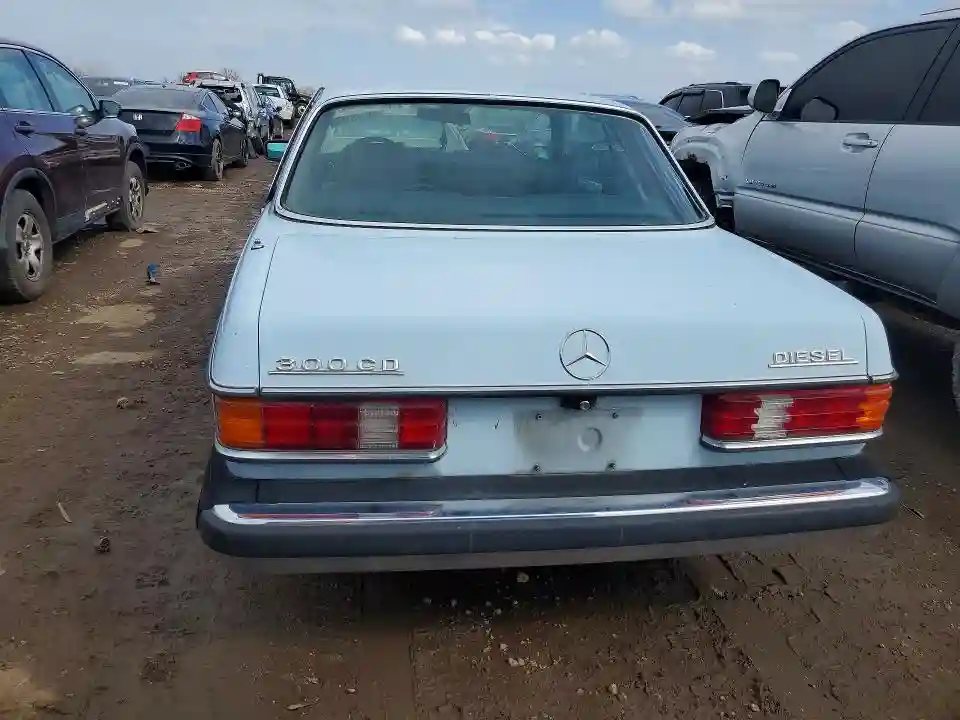 12315012003738 1979 MERCEDES-BENZ C-CLASS 30-5