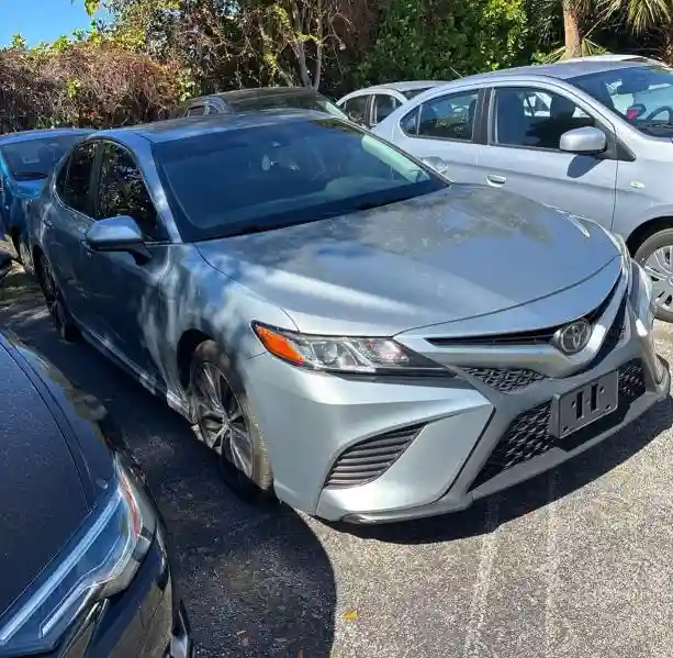 4T1G11AK2LU303999 2020 TOYOTA CAMRY-0