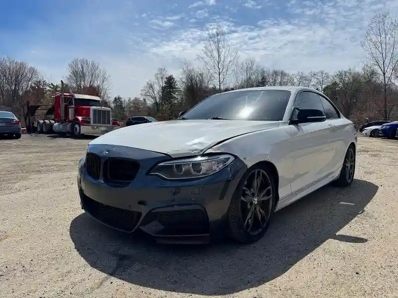 WBA1J9C53GV372181 2016 BMW M2-1