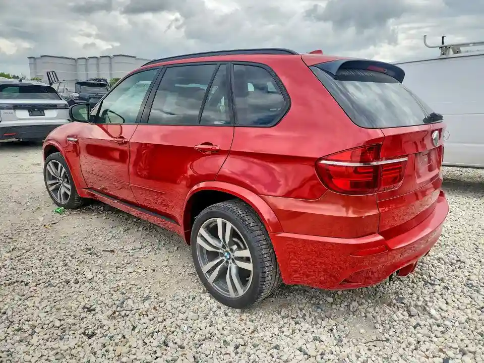 5YMGY0C59D0C11700 2013 BMW X5-1