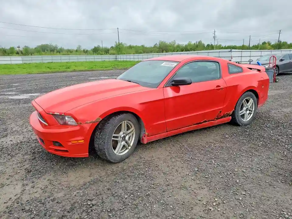 1ZVBP8AM8E5244250 2014 FORD MUSTANG-0