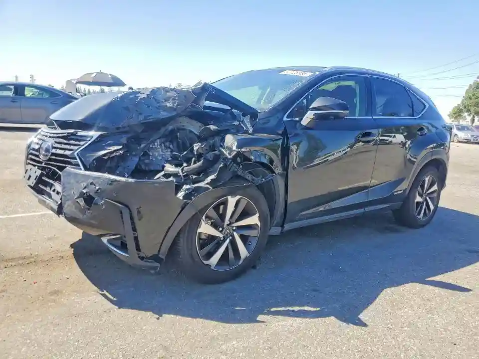 JTJGJRDZ1M2161327 2021 LEXUS NX-0