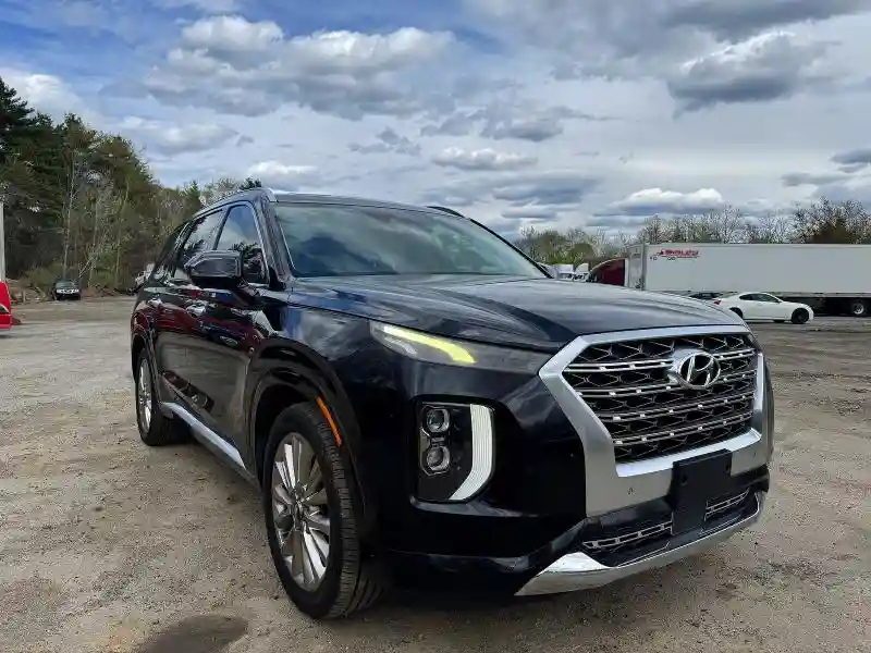 KM8R54HE6LU073642 2020 HYUNDAI PALISADE-0