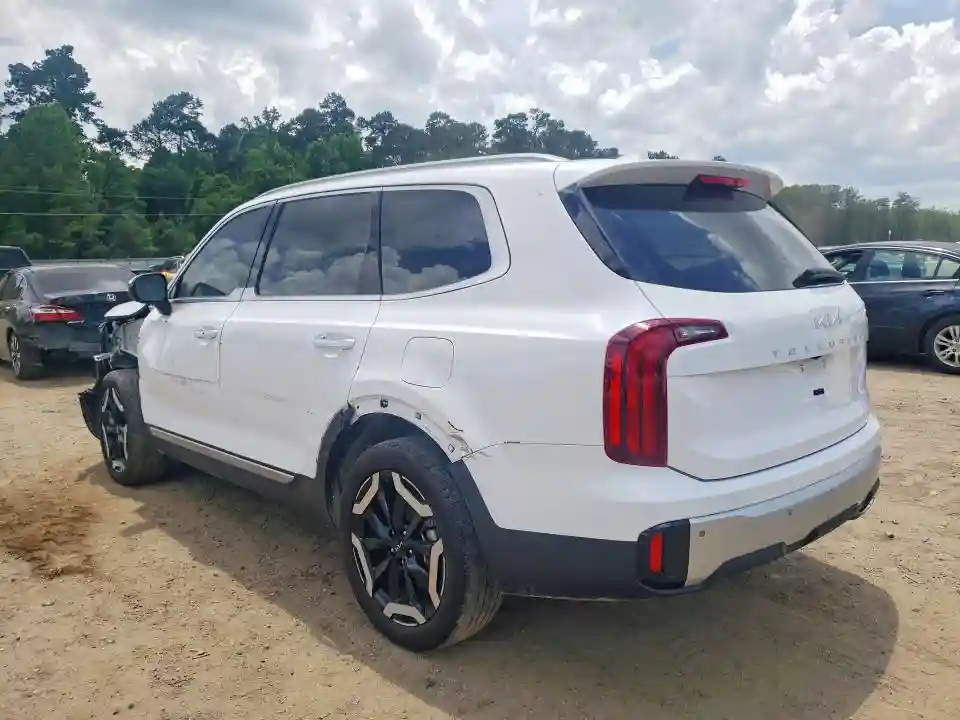 5XYP64GC6RG512499 2024 KIA TELLURIDE-1