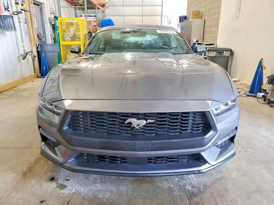 1FAGP8UH6S5105355 2025 FORD MUSTANG-4