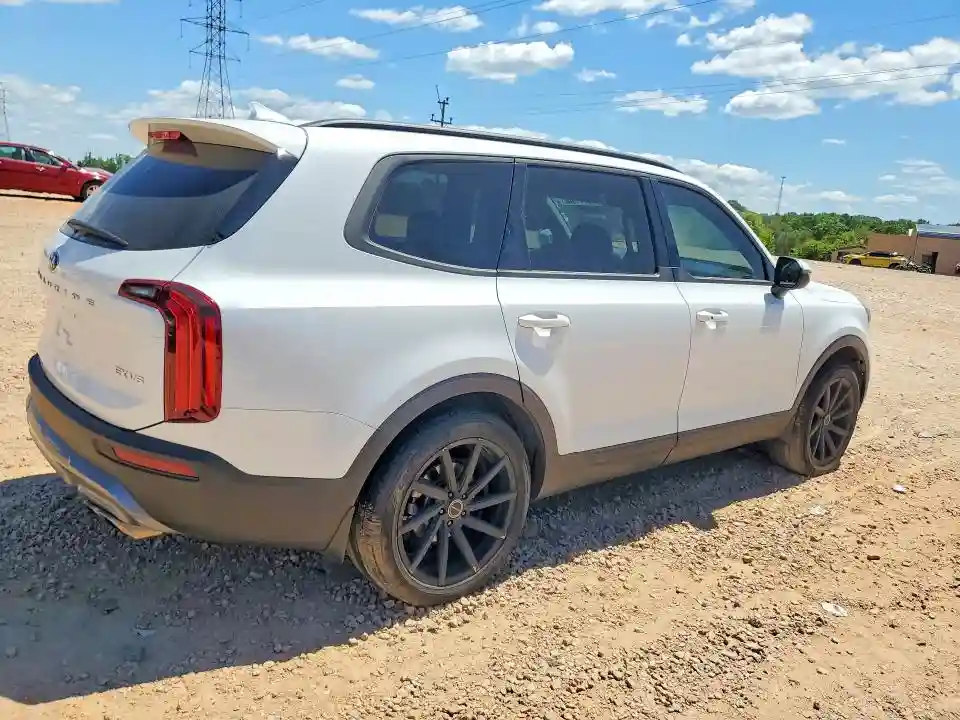 5XYP34HC9LG060918 2020 KIA TELLURIDE-2