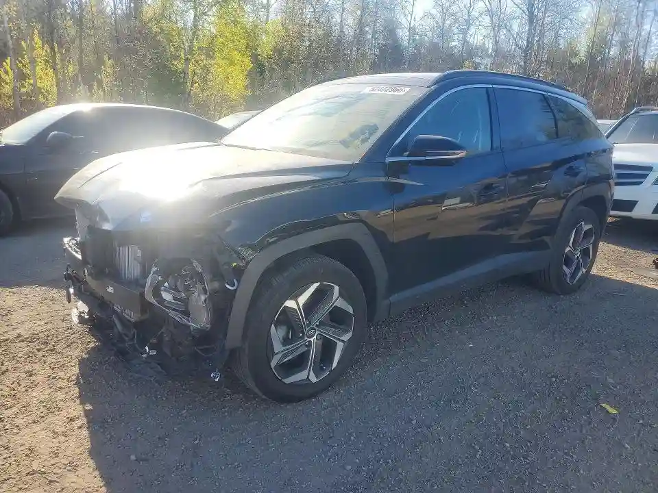 KM8JDDD29RU177739 2024 HYUNDAI TUCSON-0