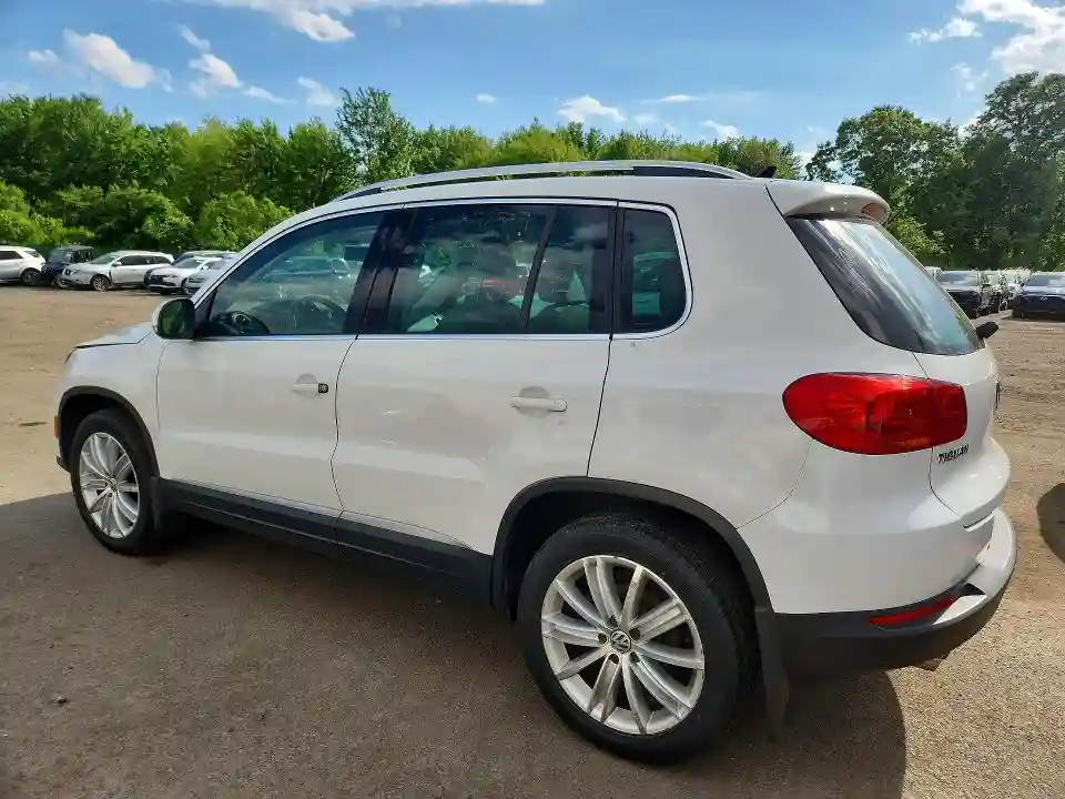 WVGBV3AX9DW619444 2013 VOLKSWAGEN TIGUAN-1