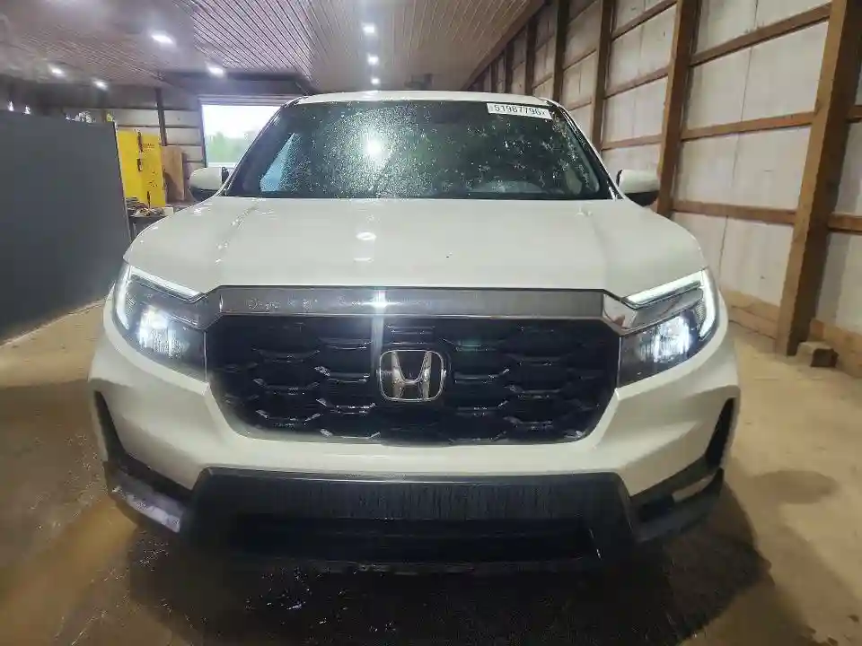 5FNYF8H55RB006584 2024 HONDA PASSPORT-4