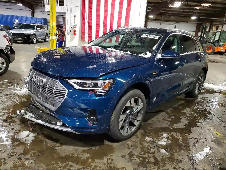 WA1LAAGE4NB032456 2022 AUDI E-TRON-0