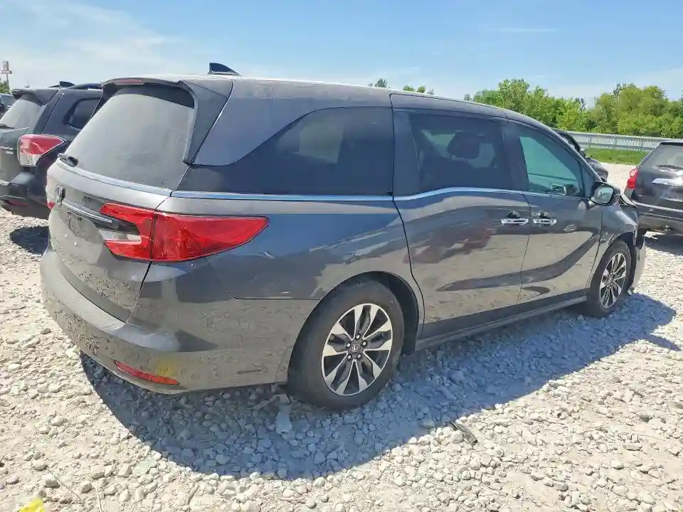 5FNRL6H64RB025508 2024 HONDA ODYSSEY-2