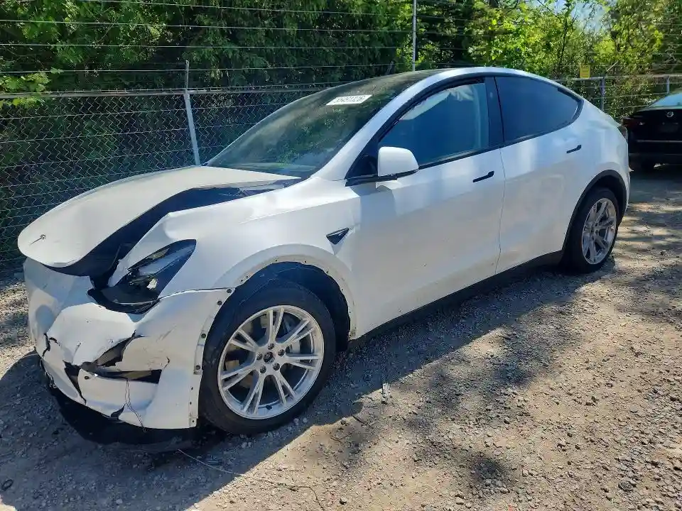 7SAYGDEEXRA274556 2024 TESLA MODEL Y-0