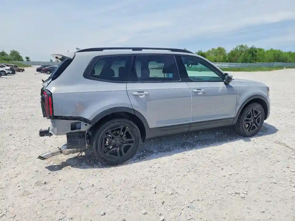 5XYP3DGC3SG733007 2025 KIA TELLURIDE-2