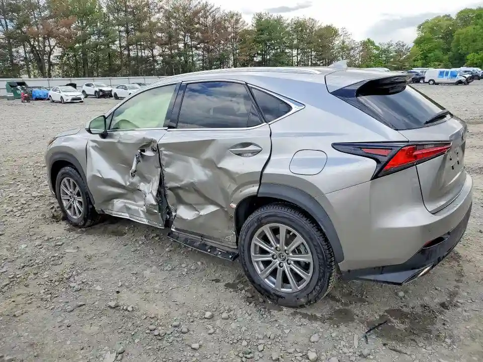 JTJDARDZ1M2253699 2021 LEXUS NX-1