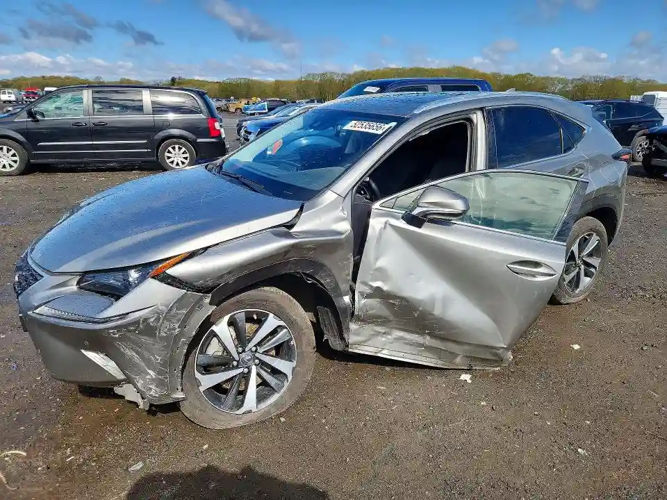 JTJGARDZ3M2242202 2021 LEXUS NX-0