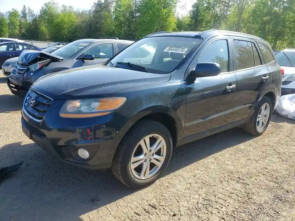 5NMSHDAG5AH409715 2010 HYUNDAI SANTA FE-0