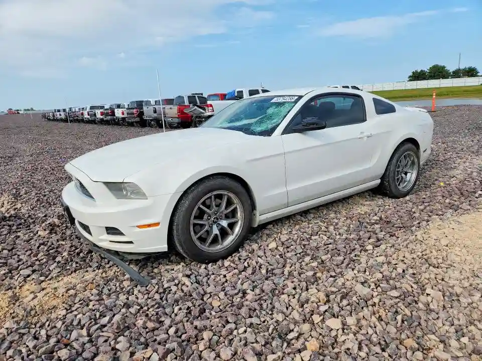 1ZVBP8AM1D5269621 2013 FORD MUSTANG-0