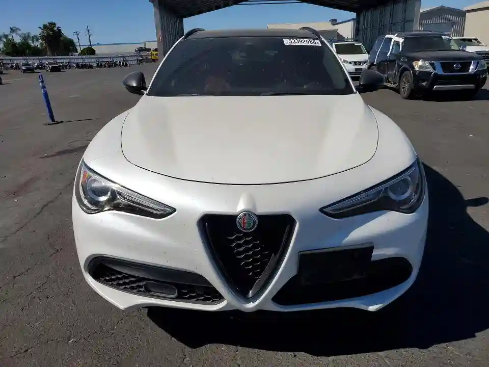 ZASPAKBN2K7C49398 2019 ALFA ROMEO STELVIO-4