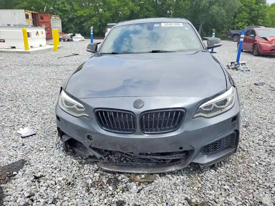 WBA1J9C59GV696185 2016 BMW M2-4