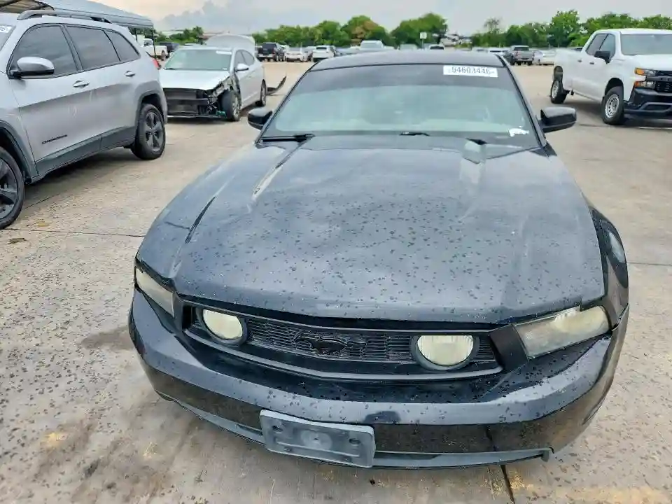 1ZVBP8CH8A5141436 2010 FORD MUSTANG-4