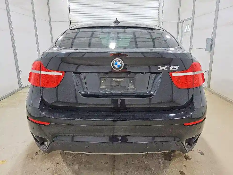 5UXFG4C50AL226770 2010 BMW X6-5