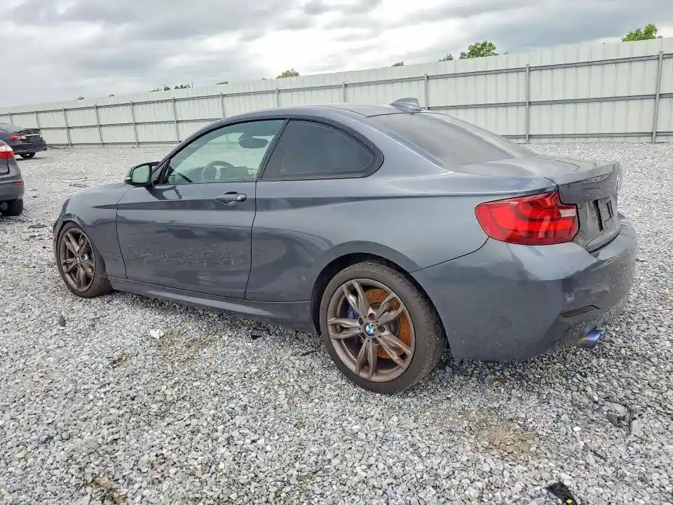 WBA1J9C59GV696185 2016 BMW M2-1