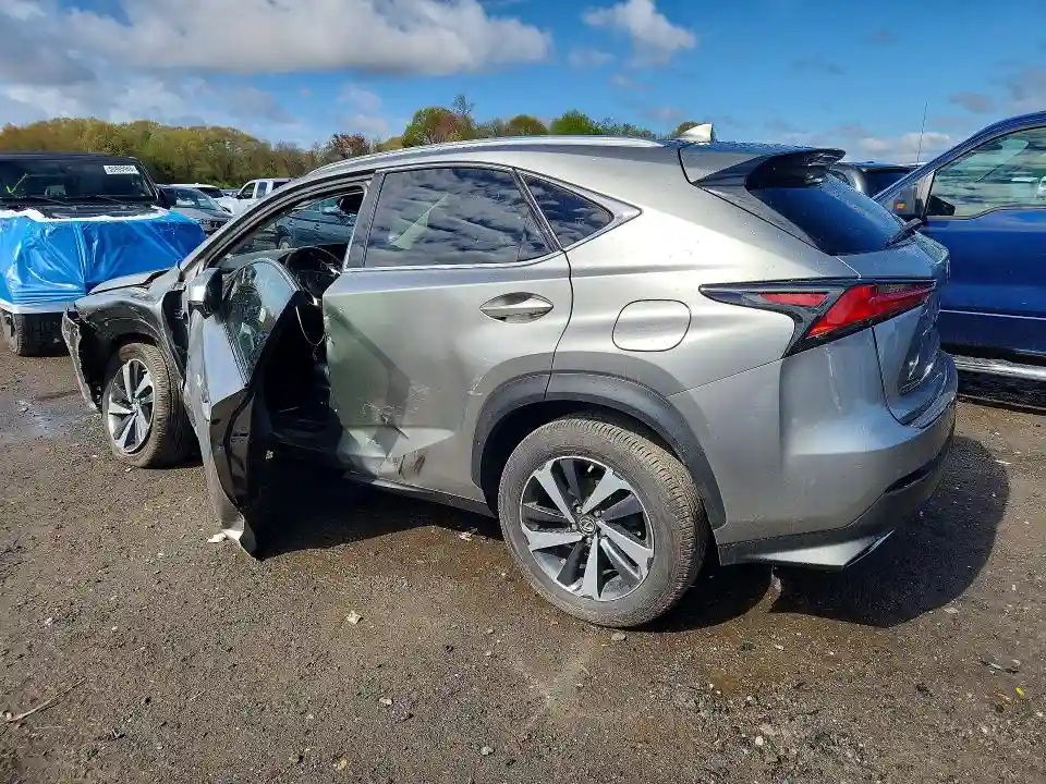 JTJGARDZ3M2242202 2021 LEXUS NX-1