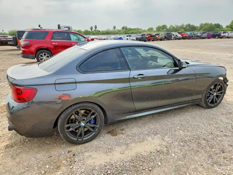 WBA1J7C53GV359807 2016 BMW M2-2