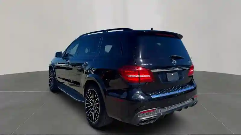 4JGDF7FE1HA888092 2017 MERCEDES-BENZ GLS-CLASS-2