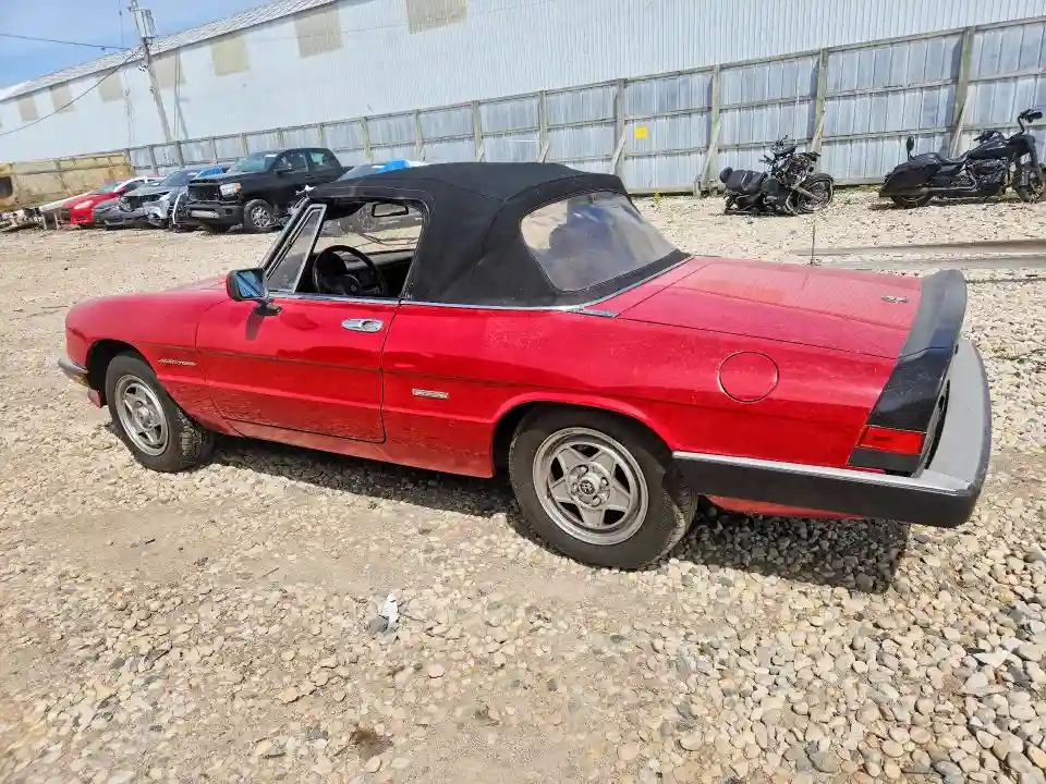ZARBA5586J1058147 1988 ALFA ROMEO SPIDER-1