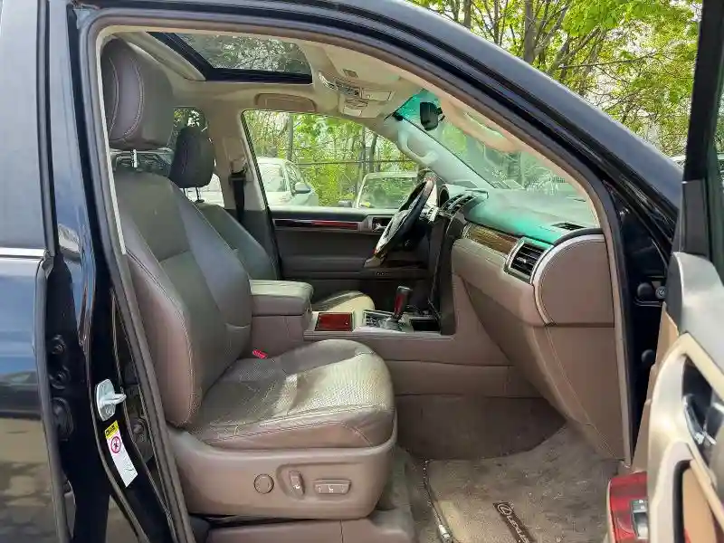 JTJBM7FX2A5016910 2010 LEXUS GX 460 BAS-4