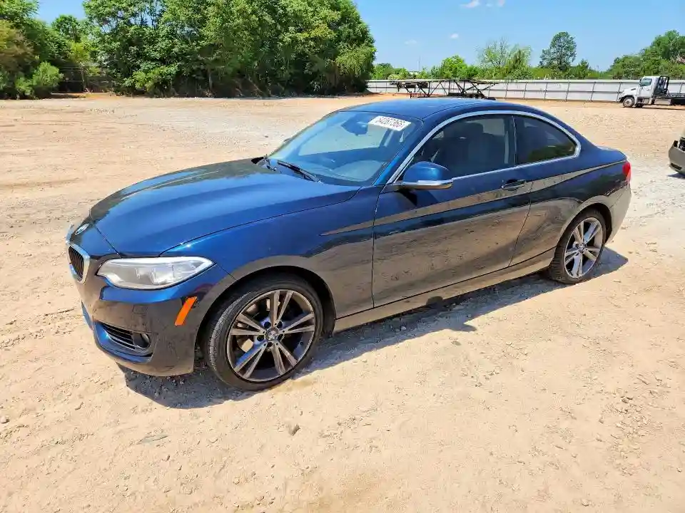 WBA1F7C57FVX96046 2015 BMW 2 SERIES-0